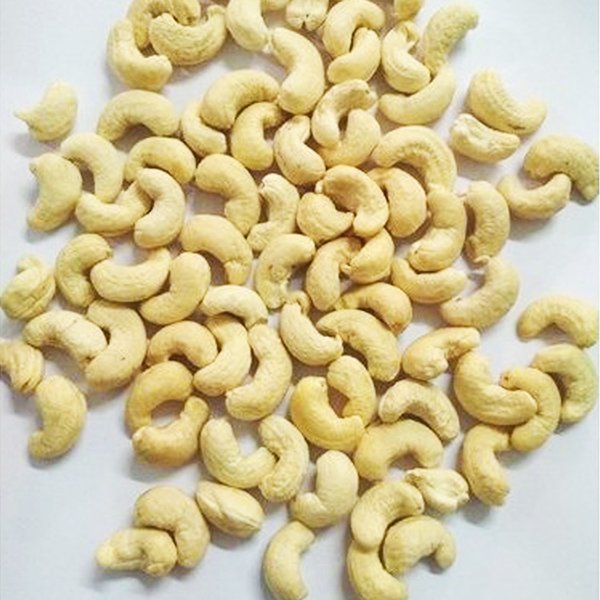 Raw Cashew Nuts WW450 - Image 2