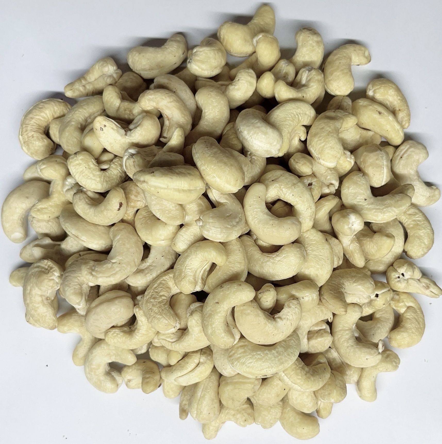 Organic Raw Cashew Nuts WW210