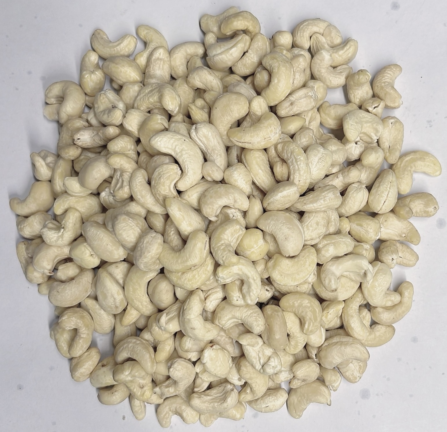 Raw Cashew Nuts WW450