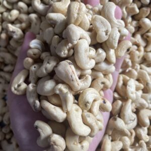 Raw Cashew Nuts SK1