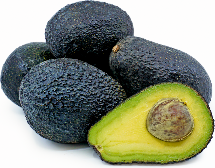 Fresh Avocados Hass/ Fuerte