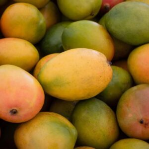 Fresh Mangoes For Export
