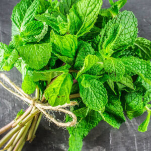 Premium Fresh Mint Export  Kenya